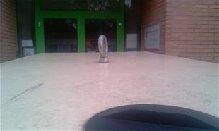 ANNEAUX DE LEVAGE Anneau de levage pr�vu pour la manutention rapide et/ou le deplacements des groupes �lectrog�nes