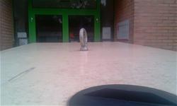 ANNEAUX DE LEVAGE 