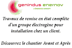 Réfection complète d'un groupe électrogène